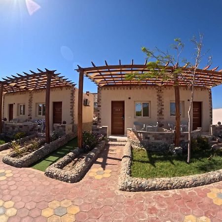 Dolphin Continental Hotel El Qoseir Dış mekan fotoğraf